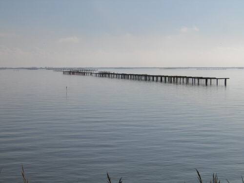 Sacca Scardovari - Porto Tolle