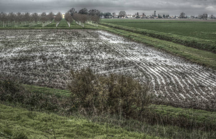 Isola della Donzella, Sacca Scardovari, Santa Giulia