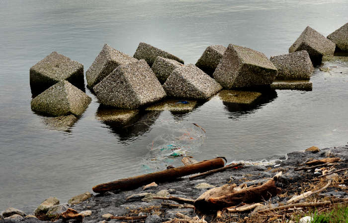 Isola della Donzella, Sacca Scardovari, Santa Giulia