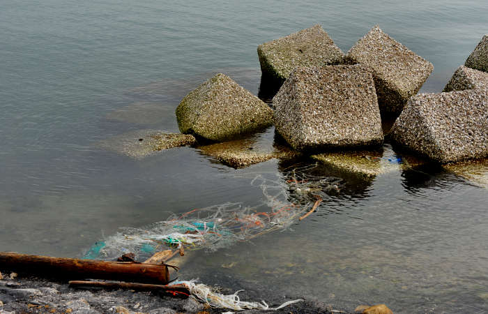 Isola della Donzella, Sacca Scardovari, Santa Giulia