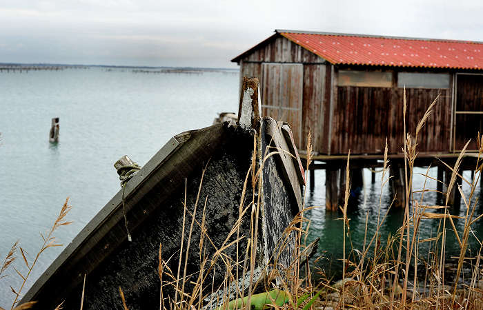 Isola della Donzella, Sacca Scardovari, Santa Giulia
