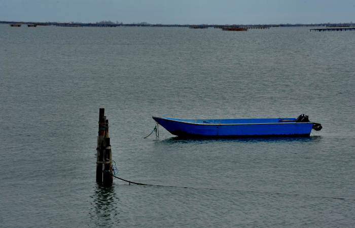 Isola della Donzella, Sacca Scardovari, Santa Giulia