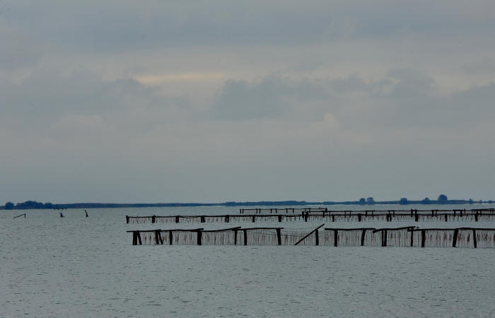 Isola della Donzella, Sacca Scardovari, Santa Giulia