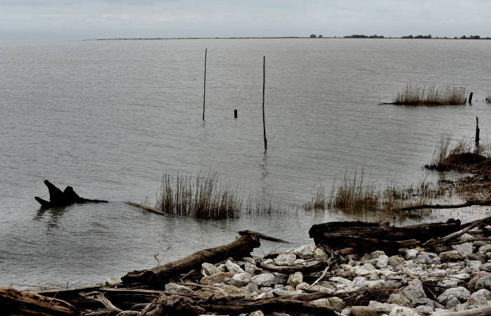 Isola della Donzella, Sacca Scardovari, Santa Giulia