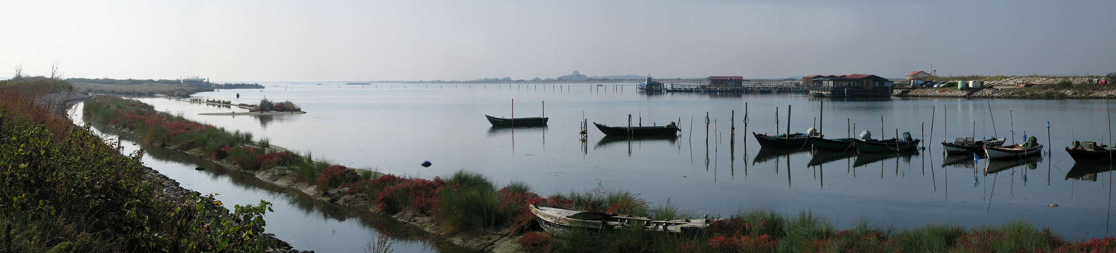 Isola di Polesine Camerini nei pressi della Sacca del Canarin, Porto Tolle