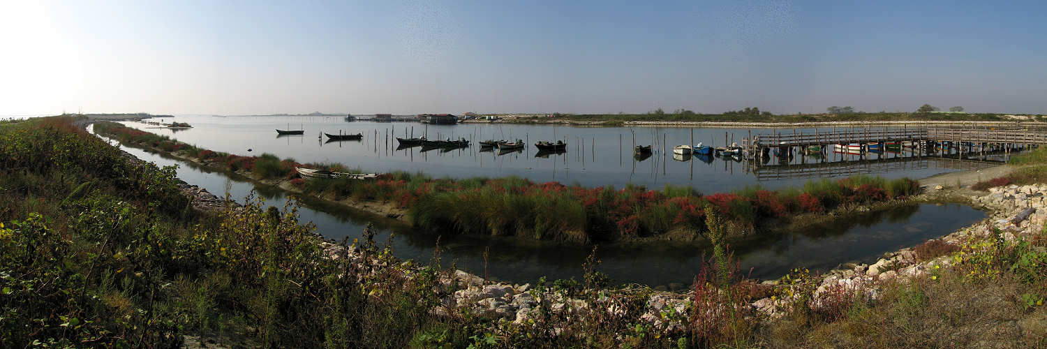 Isola Polesine Camerini nei pressi della Sacca Canarin, Porto Tolle