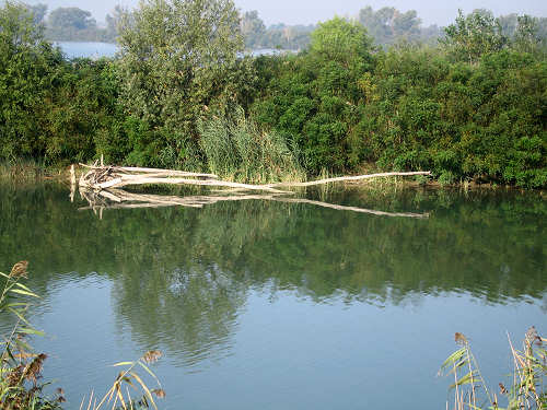 Isola di Polesine Camerini - Porto Tolle, Delta del Po