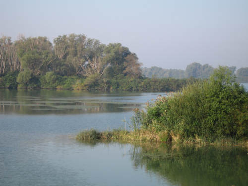 Isola di Polesine Camerini - Porto Tolle, Delta del Po