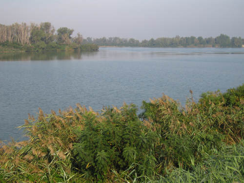 Isola di Polesine Camerini - Porto Tolle, Delta del Po