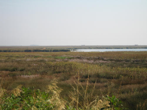 Isola di Polesine Camerini - Porto Tolle, Delta del Po
