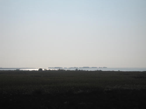 Isola di Polesine Camerini - Porto Tolle, Delta del Po