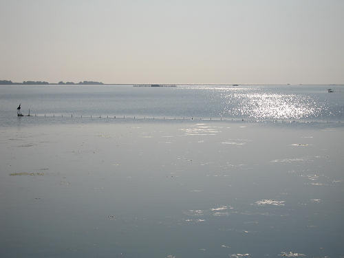 Isola di Polesine Camerini - Porto Tolle, Delta del Po