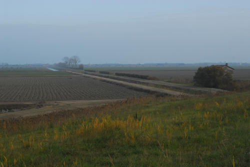 la campagna di Porto Tolle lungo gli argini della Sacca Scardovari