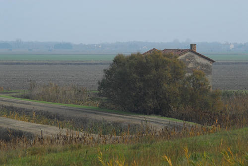 la campagna di Porto Tolle lungo gli argini della Sacca Scardovari
