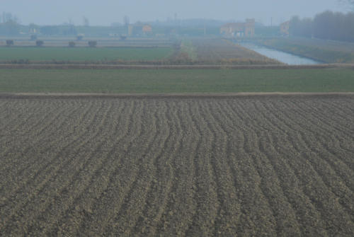 la campagna di Porto Tolle lungo gli argini della Sacca Scardovari