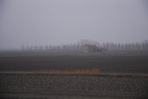 la campagna di Porto Tolle lungo gli argini della Sacca Scardovari
