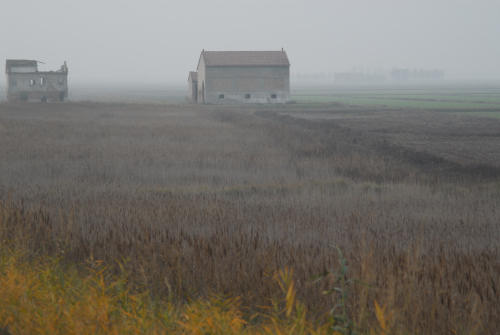 la campagna di Porto Tolle lungo gli argini della Sacca Scardovari