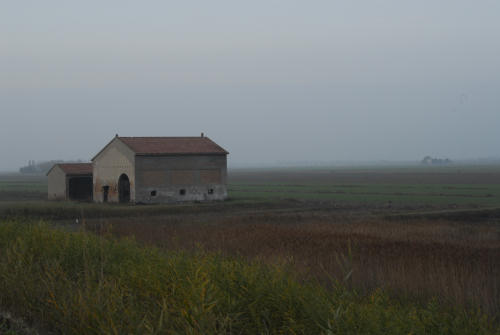 la campagna di Porto Tolle lungo gli argini della Sacca Scardovari