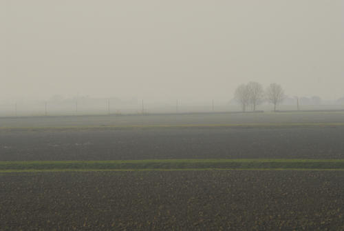 la campagna di Porto Tolle lungo gli argini della Sacca Scardovari