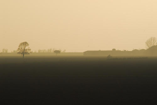 la campagna di Porto Tolle lungo gli argini della Sacca Scardovari