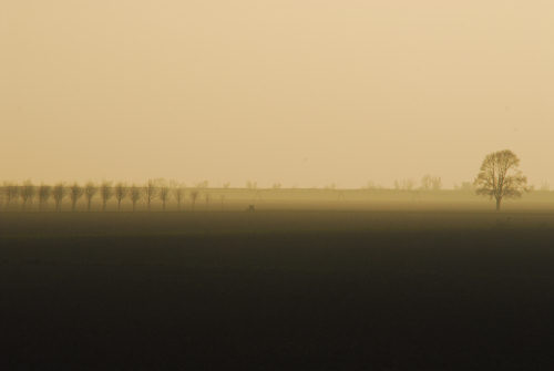 la campagna di Porto Tolle lungo gli argini della Sacca Scardovari