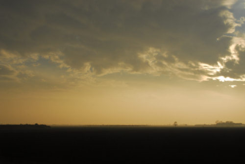 la campagna di Porto Tolle lungo gli argini della Sacca Scardovari