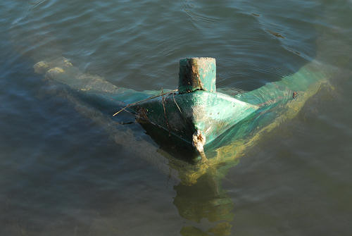 lungo gli argini della Sacca degli Scardovari a Porto Tolle
