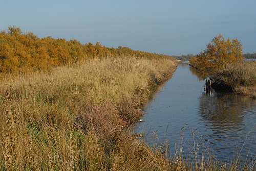 lungo gli argini della Sacca degli Scardovari a Porto Tolle