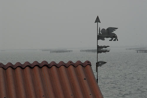 lungo gli argini della Sacca degli Scardovari a Porto Tolle