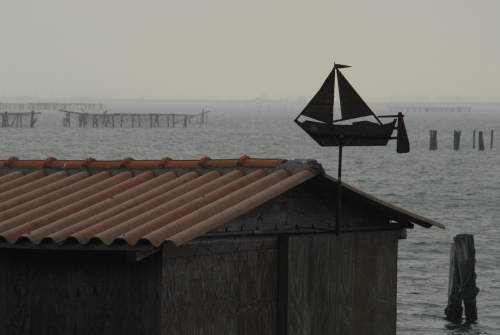 lungo gli argini della Sacca degli Scardovari a Porto Tolle