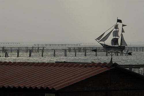 lungo gli argini della Sacca degli Scardovari a Porto Tolle