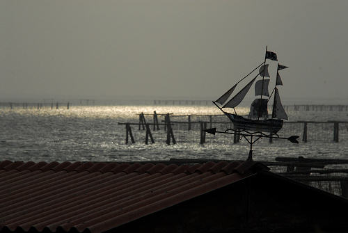 lungo gli argini della Sacca degli Scardovari a Porto Tolle
