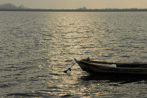 lungo gli argini della Sacca degli Scardovari a Porto Tolle