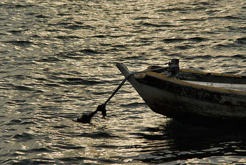lungo gli argini della Sacca degli Scardovari a Porto Tolle