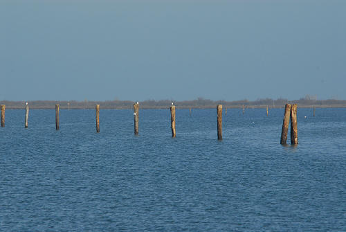 lungo gli argini della Sacca degli Scardovari a Porto Tolle