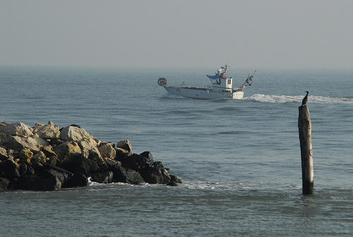 lungo gli argini della Sacca degli Scardovari a Porto Tolle