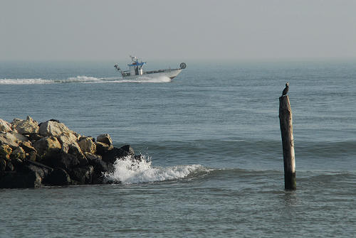 lungo gli argini della Sacca degli Scardovari a Porto Tolle