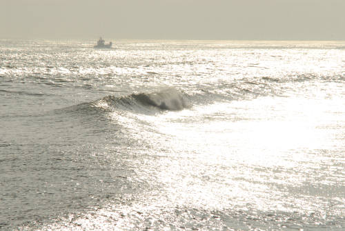 lungo gli argini della Sacca degli Scardovari a Porto Tolle