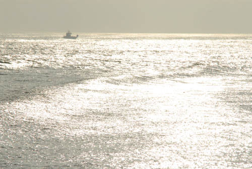 lungo gli argini della Sacca degli Scardovari a Porto Tolle