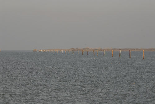 lungo gli argini della Sacca degli Scardovari a Porto Tolle