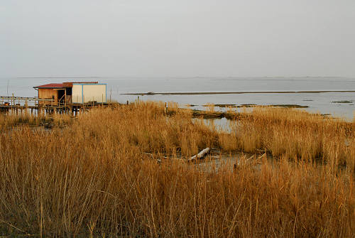lungo gli argini della Sacca degli Scardovari a Porto Tolle