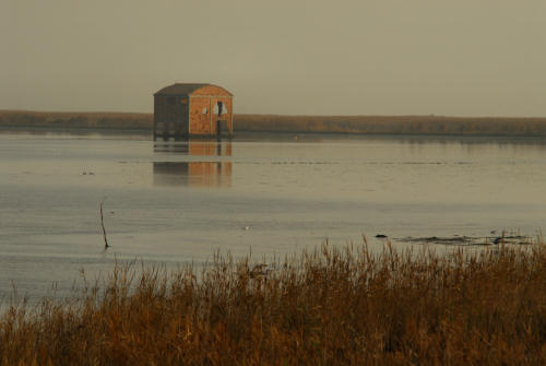 lungo gli argini della Sacca degli Scardovari a Porto Tolle
