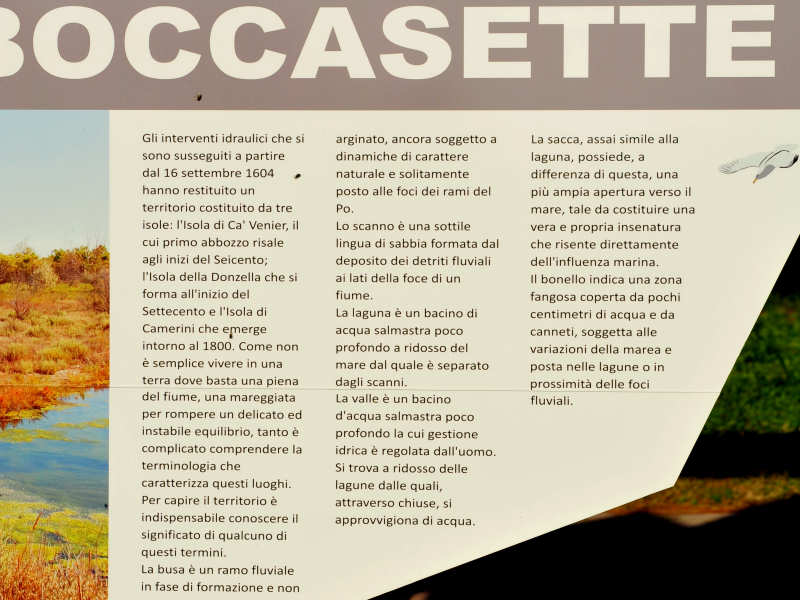 spiaggia Boccasette, foce del Po di Maistra