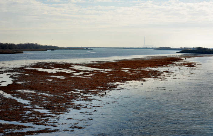 spiaggia di Boccasette alla foce del Po di Maistra, Porto Tolle