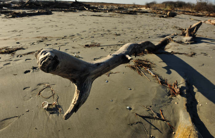 spiaggia di Boccasette alla foce del Po di Maistra, Porto Tolle