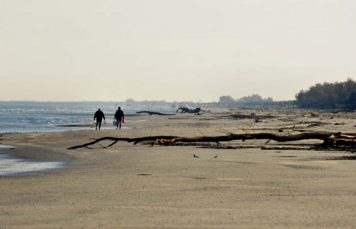 spiaggia di Boccasette alla foce del Po di Maistra, Porto Tolle