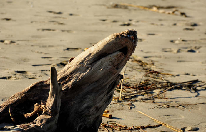 spiaggia di Boccasette alla foce del Po di Maistra, Porto Tolle