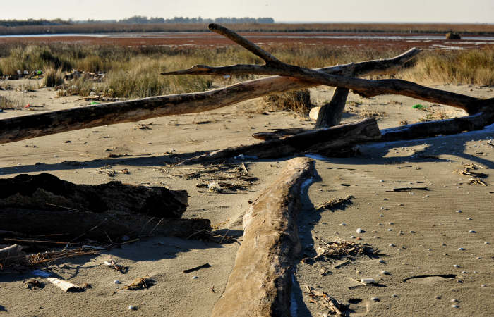 spiaggia di Boccasette alla foce del Po di Maistra, Porto Tolle
