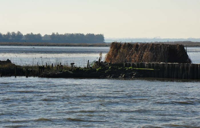 spiaggia di Boccasette alla foce del Po di Maistra, Porto Tolle