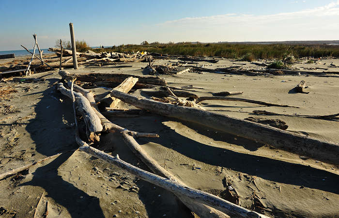 spiaggia di Boccasette alla foce del Po di Maistra, Porto Tolle